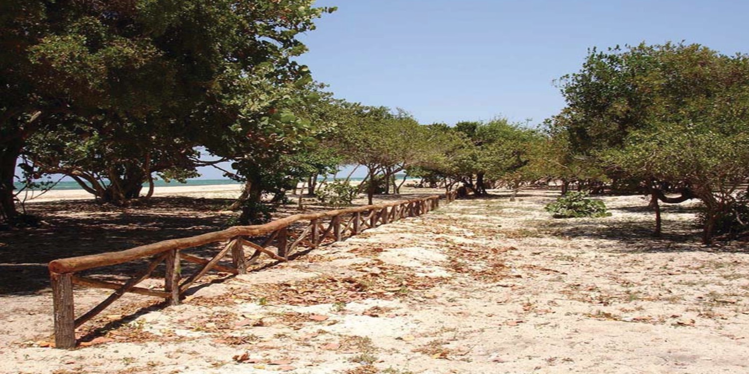 Beachfront Property for sale: With 2.4 KM beach front area
