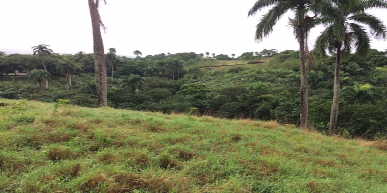 Finca ganadera con agua y en producción