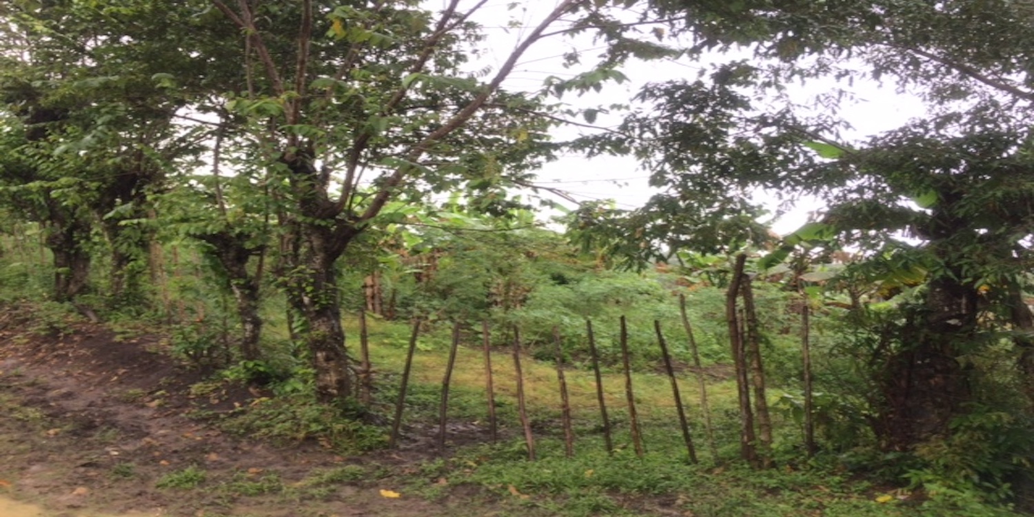 Finca ganadera con agua y en producción